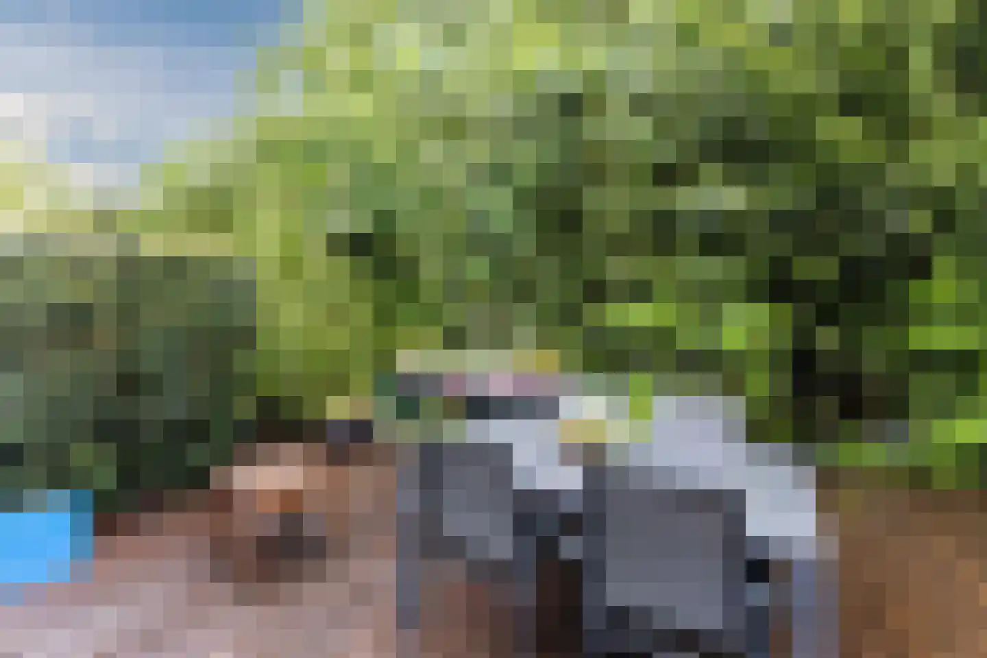 Lelieplein 2 Spijkenisse thumbnail 53