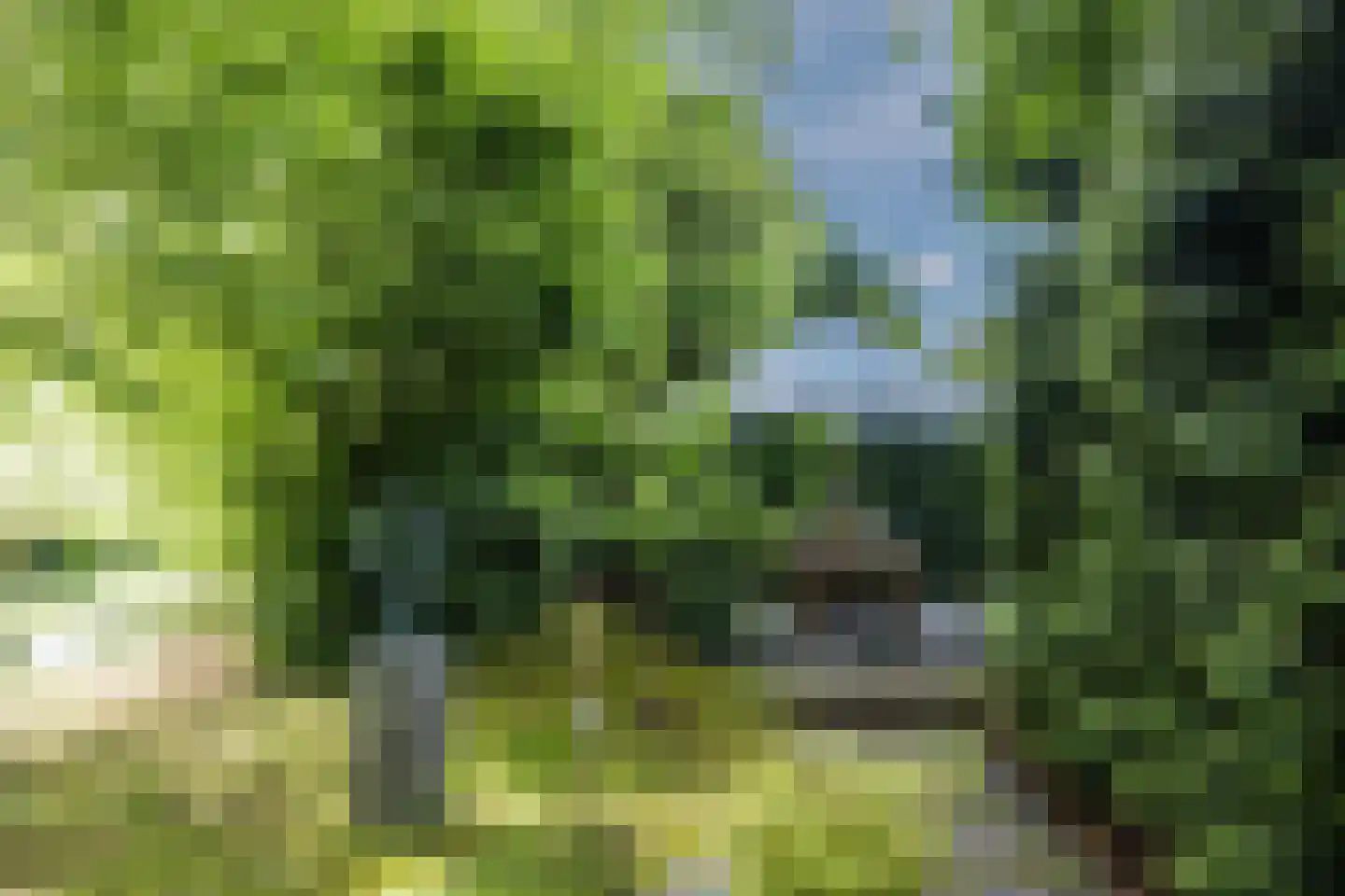 Lelieplein 2 Spijkenisse thumbnail 61