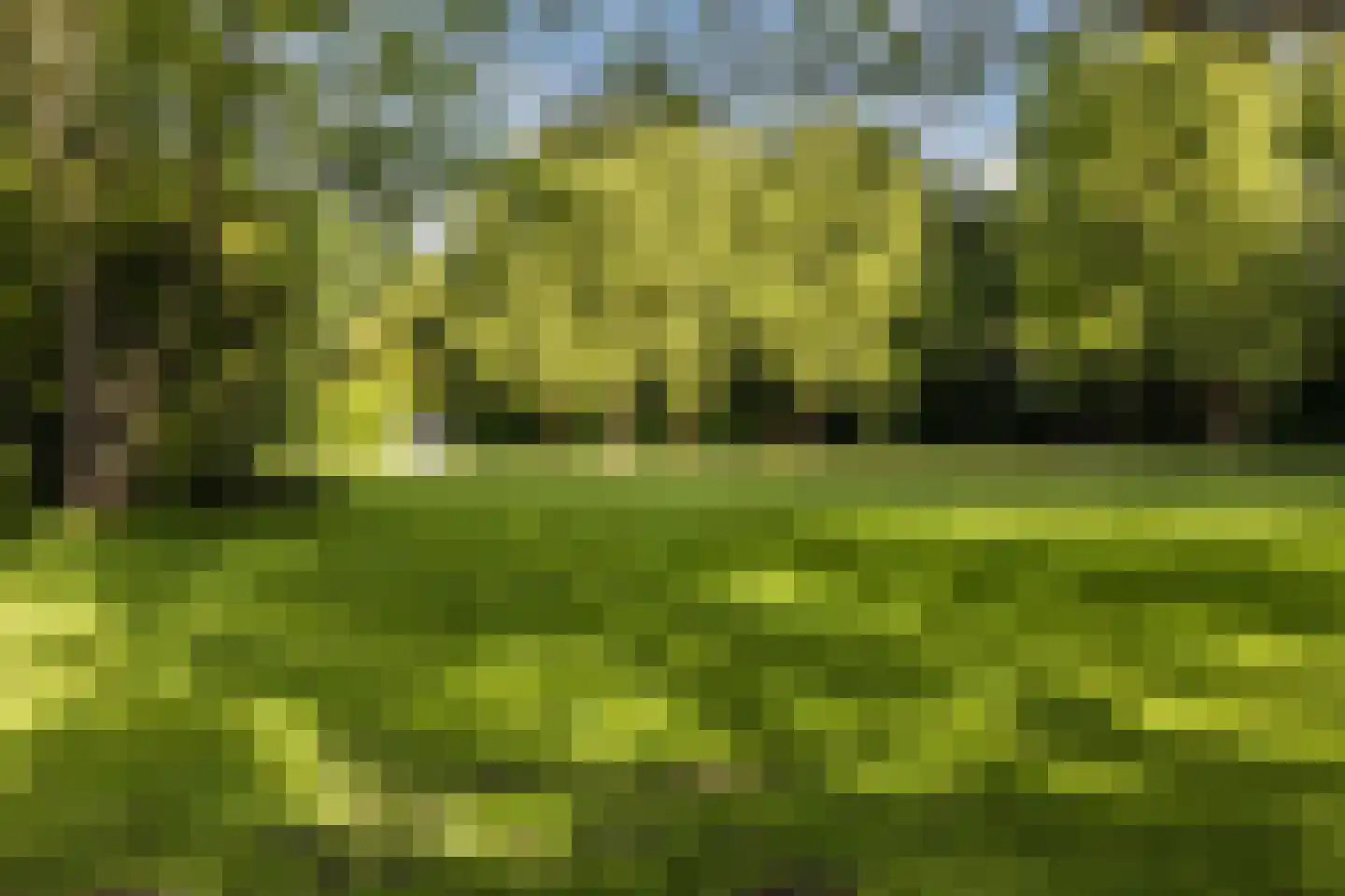 Lelieplein 2 Spijkenisse thumbnail 63