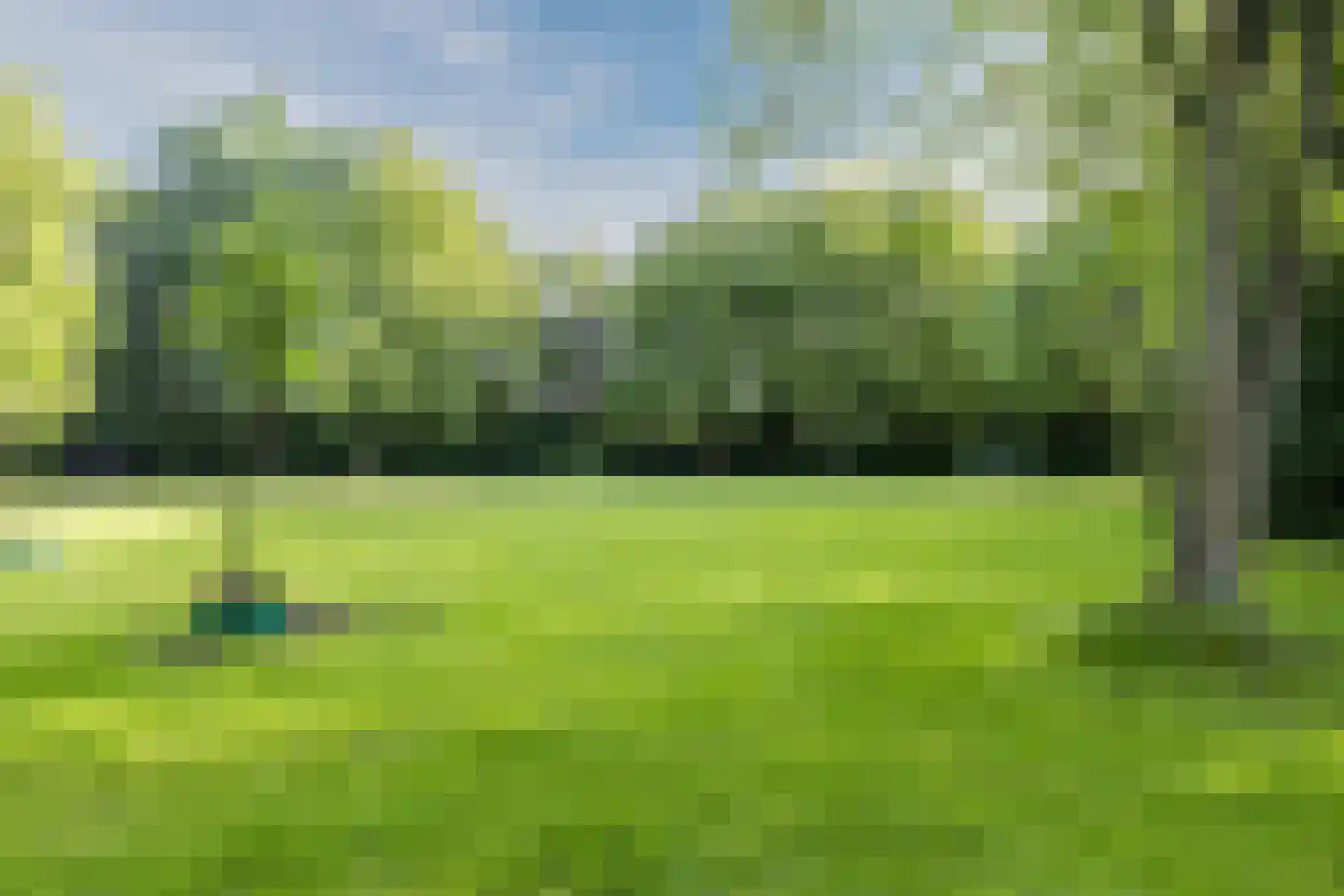 Lelieplein 2 Spijkenisse thumbnail 64