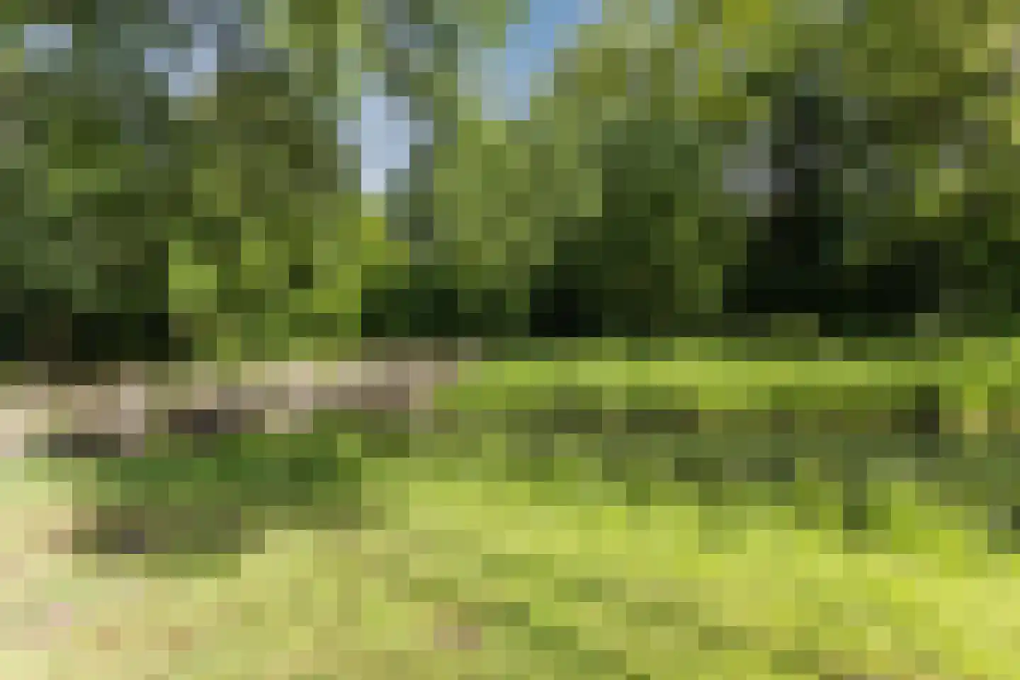 Lelieplein 2 Spijkenisse thumbnail 65
