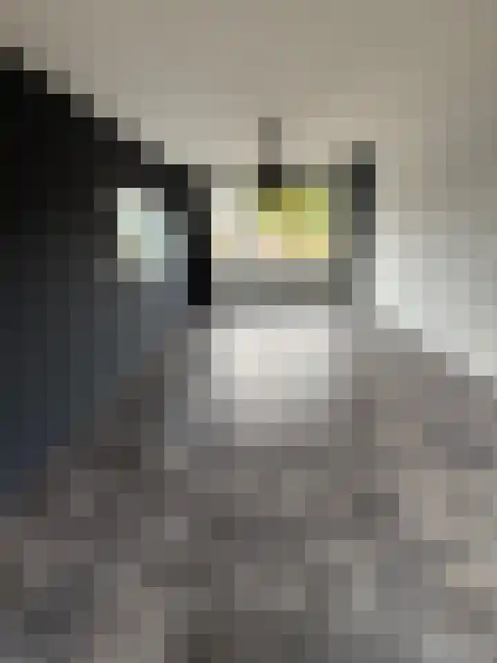 Lelieplein 32 Yerseke thumbnail 15