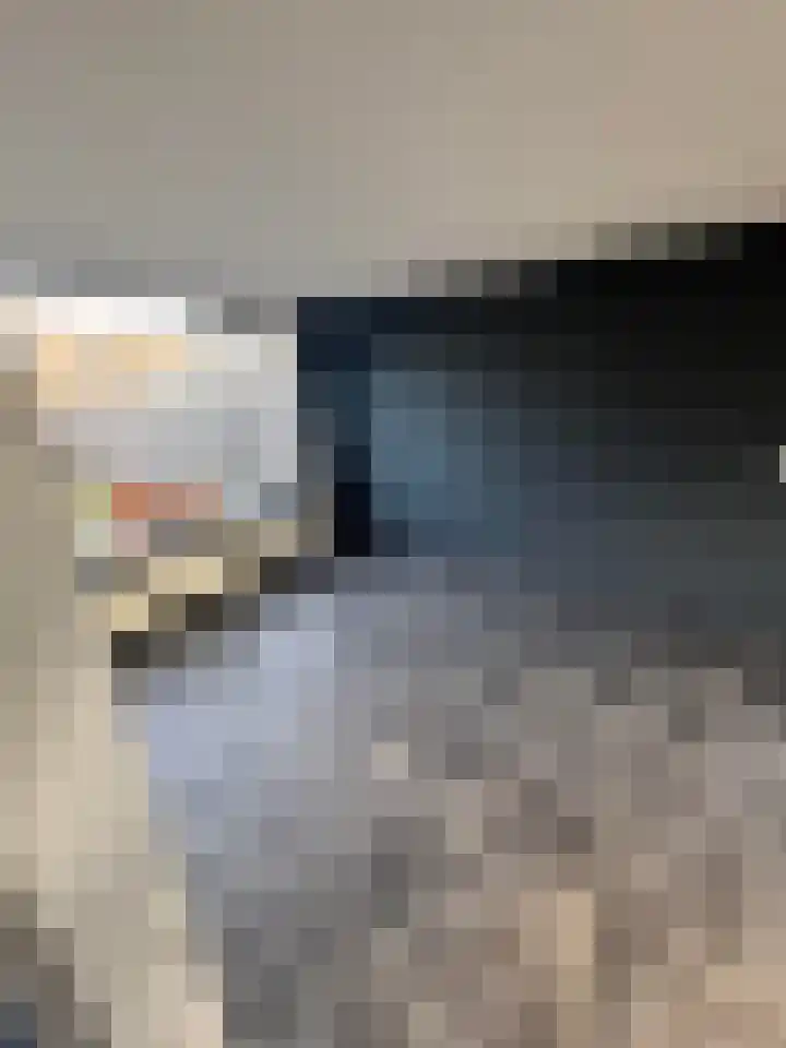 Lelieplein 32 Yerseke thumbnail 16
