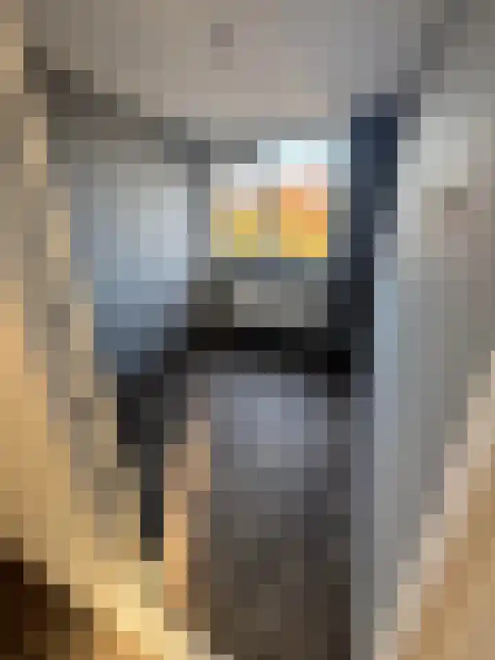 Lelieplein 32 Yerseke thumbnail 20
