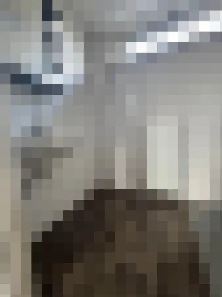 Lelieplein 32 Yerseke thumbnail 22