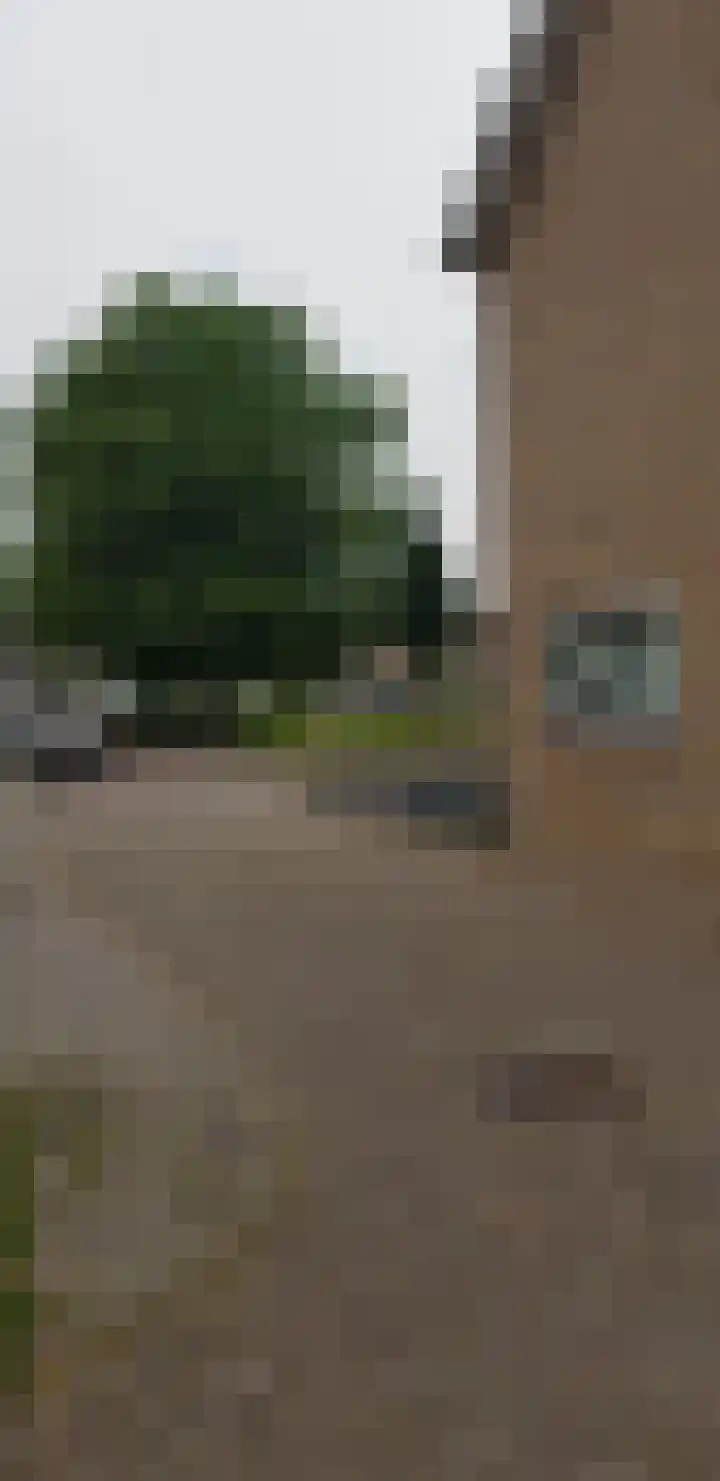 Lelieplein 32 Yerseke thumbnail 34
