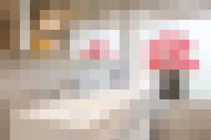 Lelieplein 4 Spijkenisse thumbnail 16