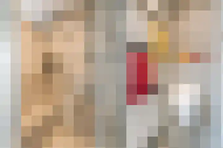 Lelieplein 4 Spijkenisse thumbnail 18