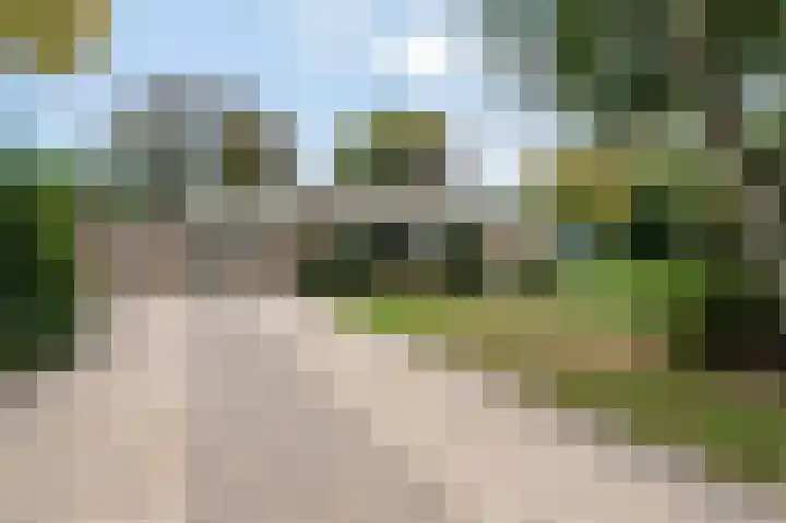 Lelieplein 4 Spijkenisse thumbnail 25