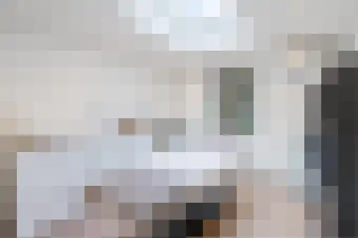 Lelieplein 4 Spijkenisse thumbnail 31
