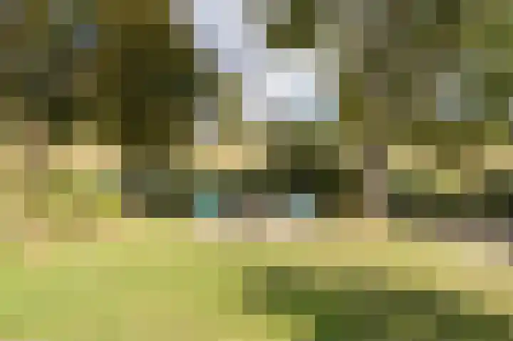 Lelieplein 4 Spijkenisse thumbnail 37