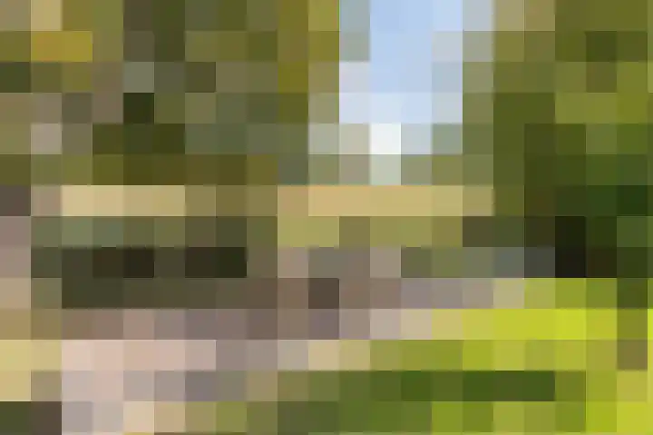 Lelieplein 4 Spijkenisse thumbnail 39