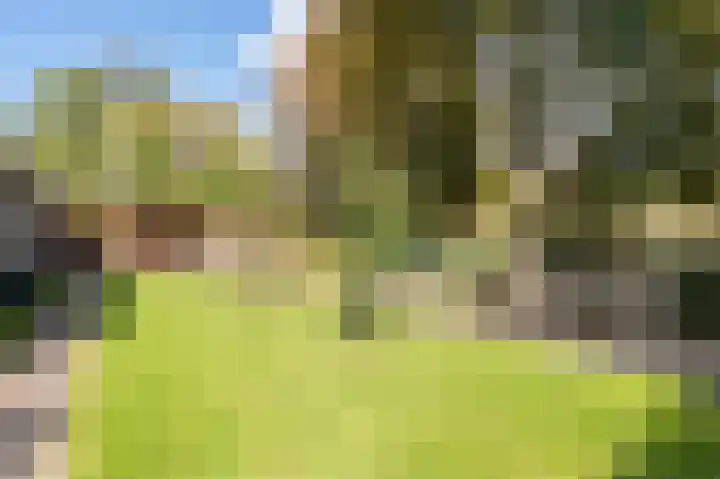Lelieplein 4 Spijkenisse thumbnail 40