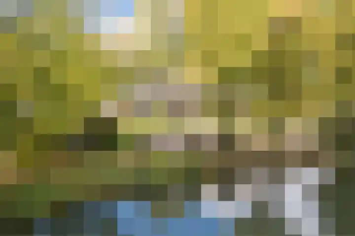 Lelieplein 4 Spijkenisse thumbnail 41