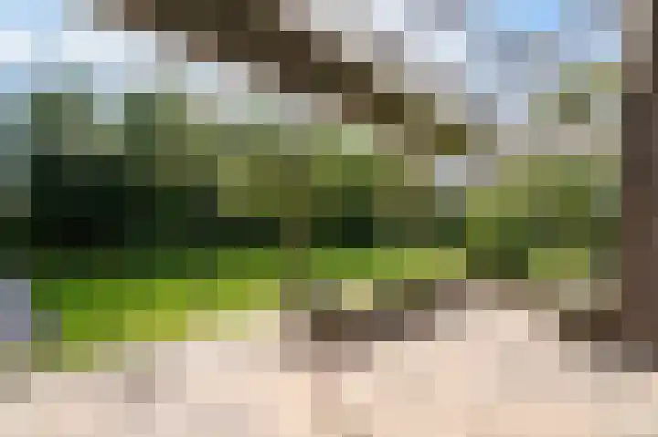 Lelieplein 4 Spijkenisse thumbnail 44