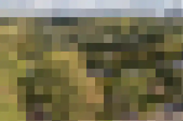 Lelieplein 4 Spijkenisse thumbnail 47