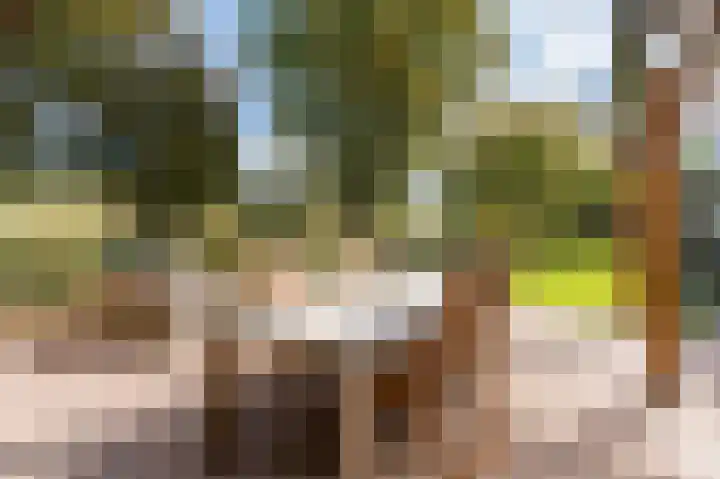 Lelieplein 4 Spijkenisse thumbnail 6