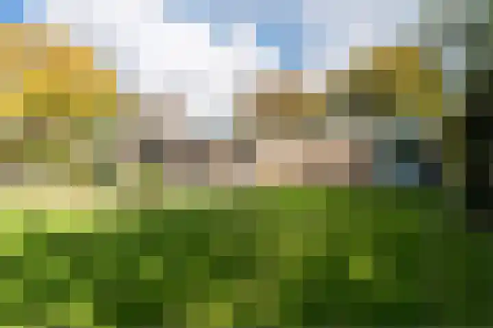Lelieplein 4 Spijkenisse thumbnail 7