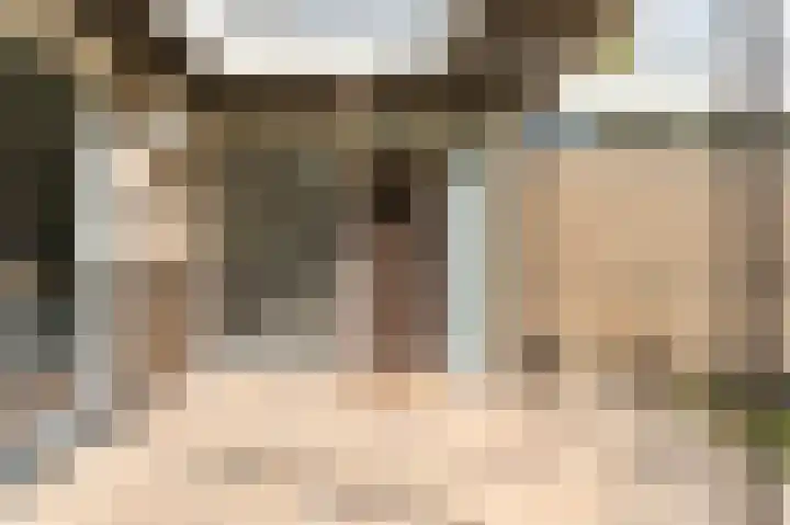 Lelieplein 4 Spijkenisse thumbnail 8