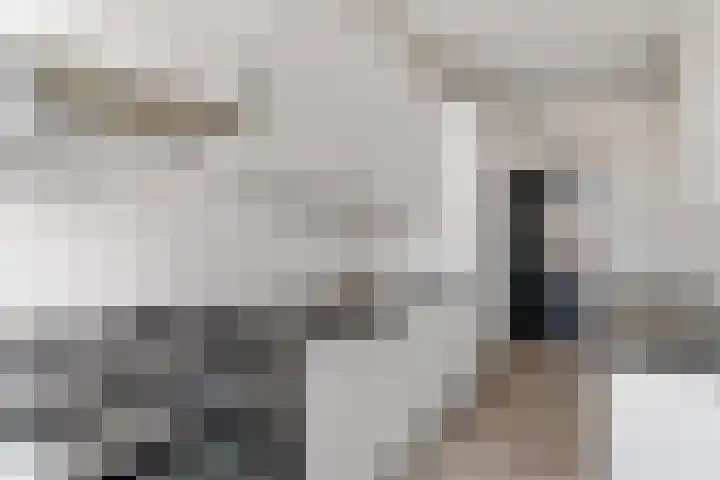 Lelieplein 5 C Spijkenisse thumbnail 17
