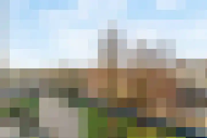 Lelieplein 5 C Spijkenisse thumbnail 18