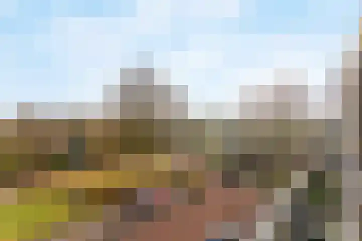Lelieplein 5 C Spijkenisse thumbnail 22