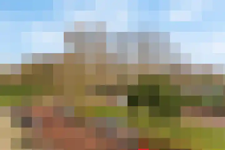 Lelieplein 5 C Spijkenisse thumbnail 23