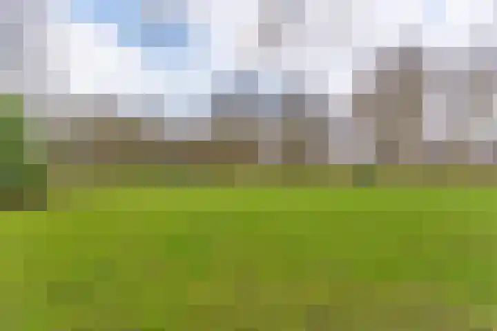 Lelieplein 5 C Spijkenisse thumbnail 25