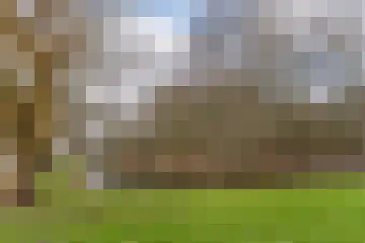 Lelieplein 5 C Spijkenisse thumbnail 26