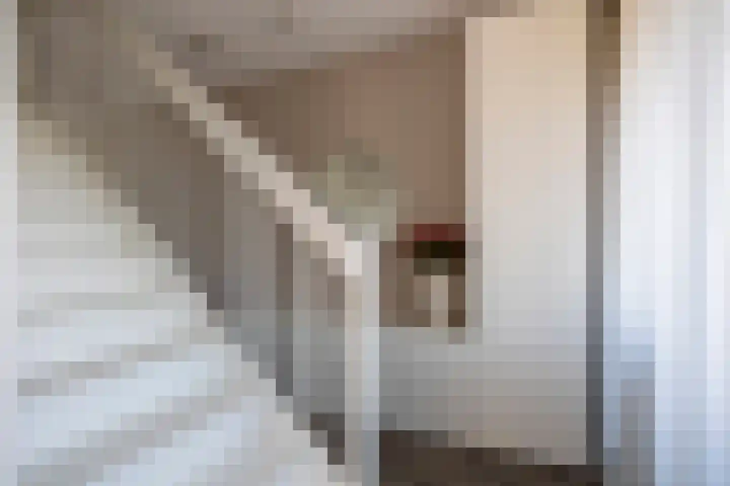 Leliestraat 1 b Roelofarendsveen thumbnail 12
