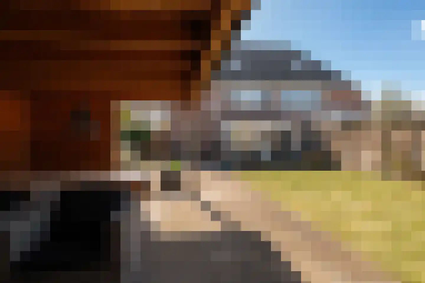 Leliestraat 1 b Tiel thumbnail 35