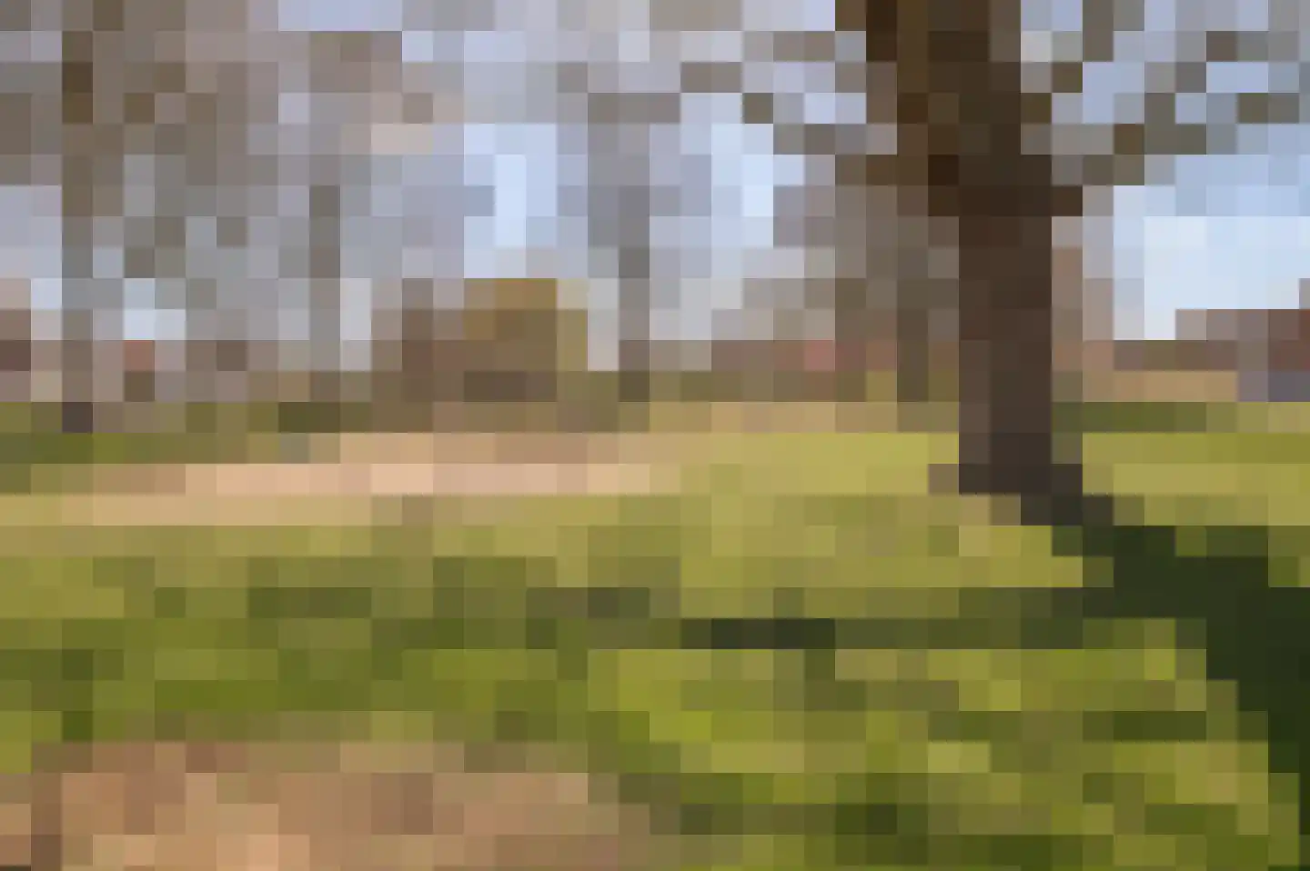 Leliestraat 1 b Tiel thumbnail 37