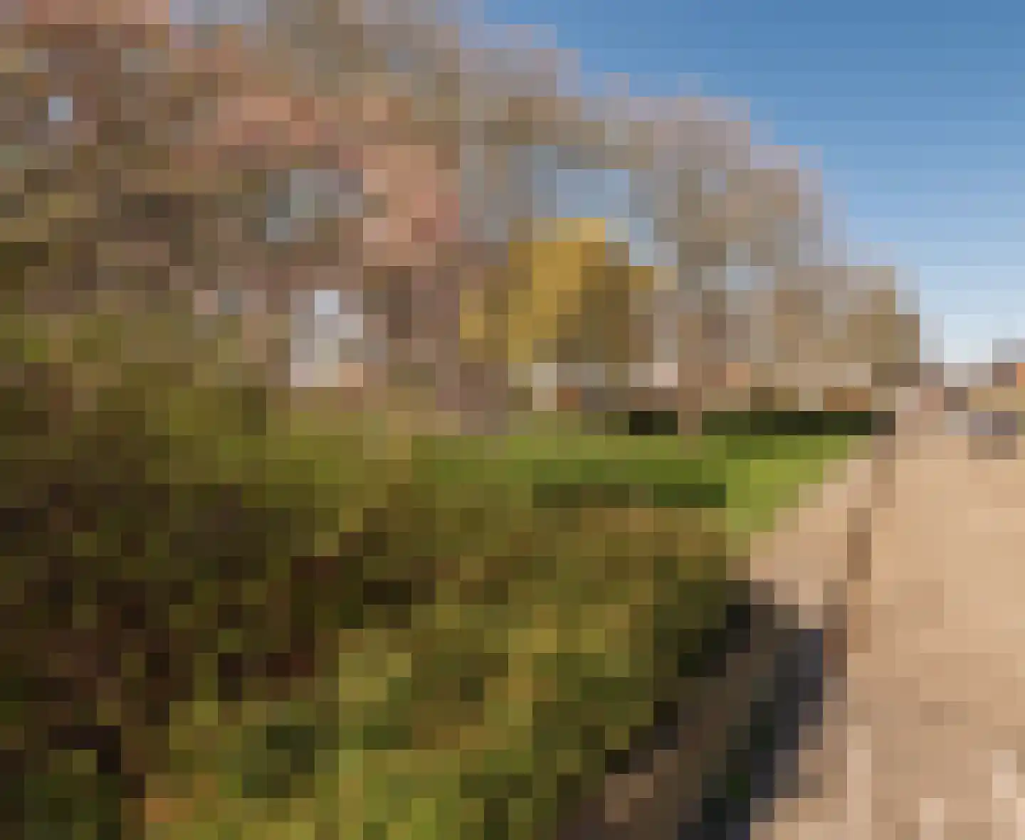 Leliestraat 1 b Tiel thumbnail 41
