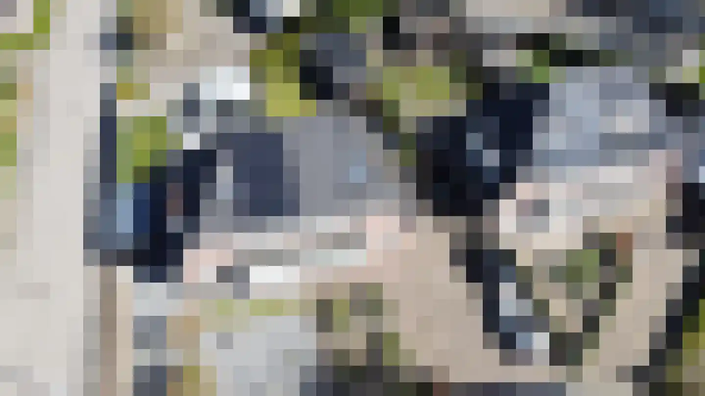 Leliestraat 1 b Tiel thumbnail 42