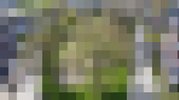 Leliestraat 1 b Tiel thumbnail 5