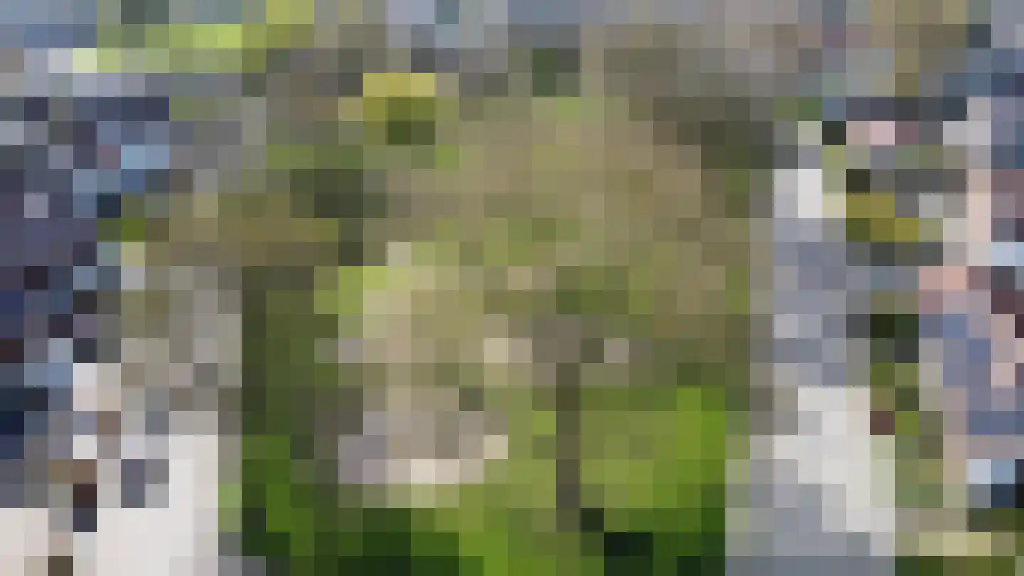 Leliestraat 1 b Tiel thumbnail 5