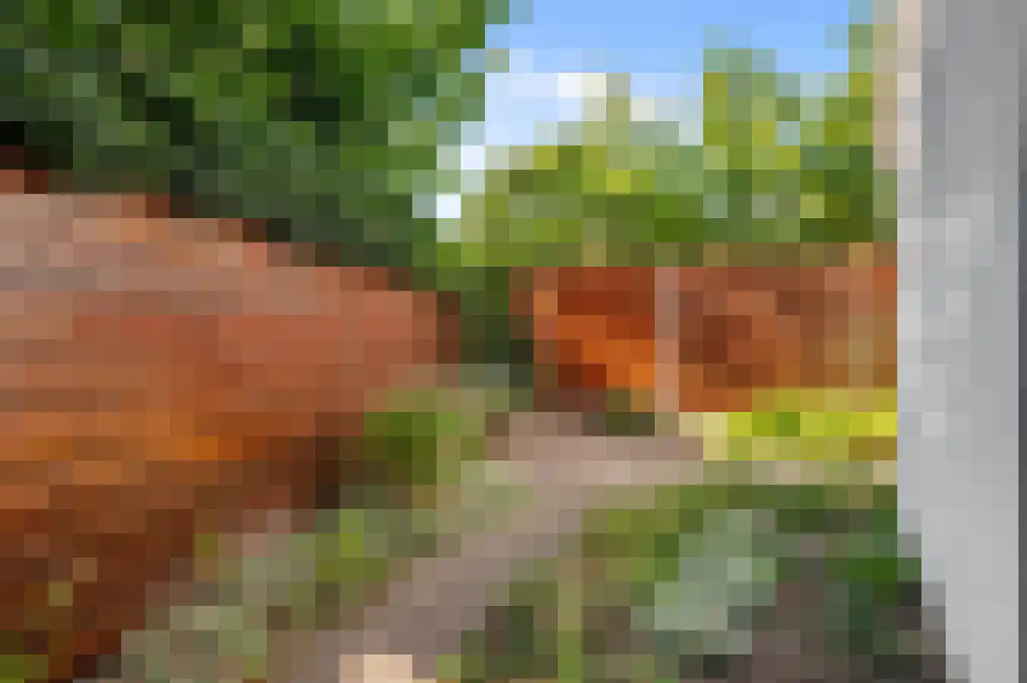 Leliestraat 1 Deventer thumbnail 31