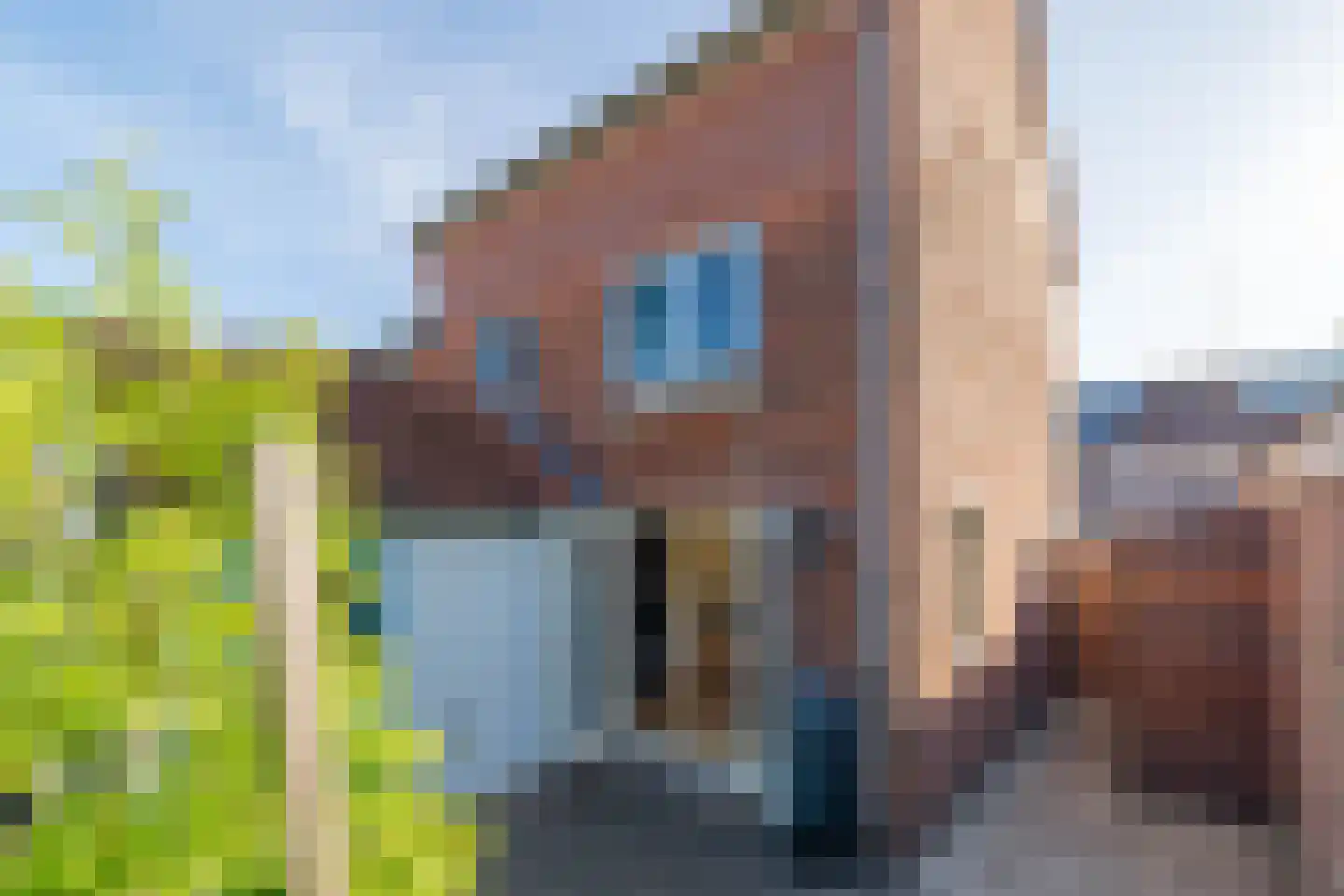 Leliestraat 1 Deventer thumbnail 33