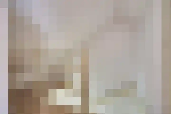Leliestraat 1 Drunen thumbnail 22