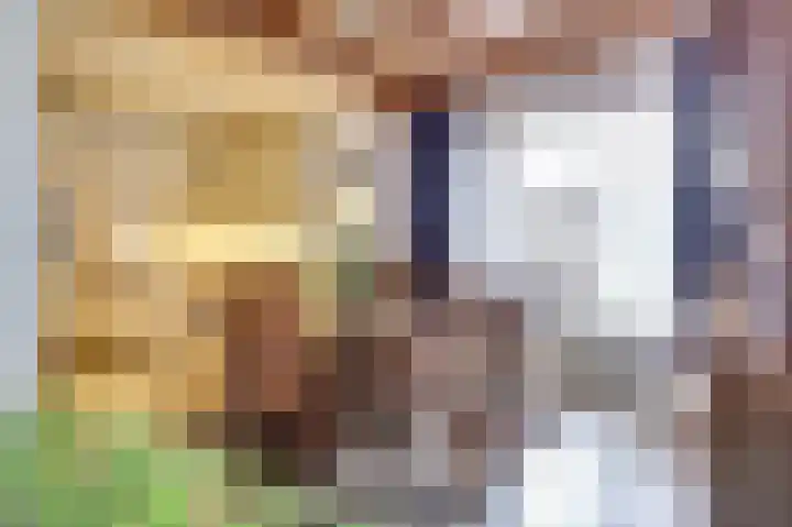 Leliestraat 1 Drunen thumbnail 7