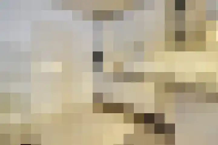 Leliestraat 1 Drunen thumbnail 9