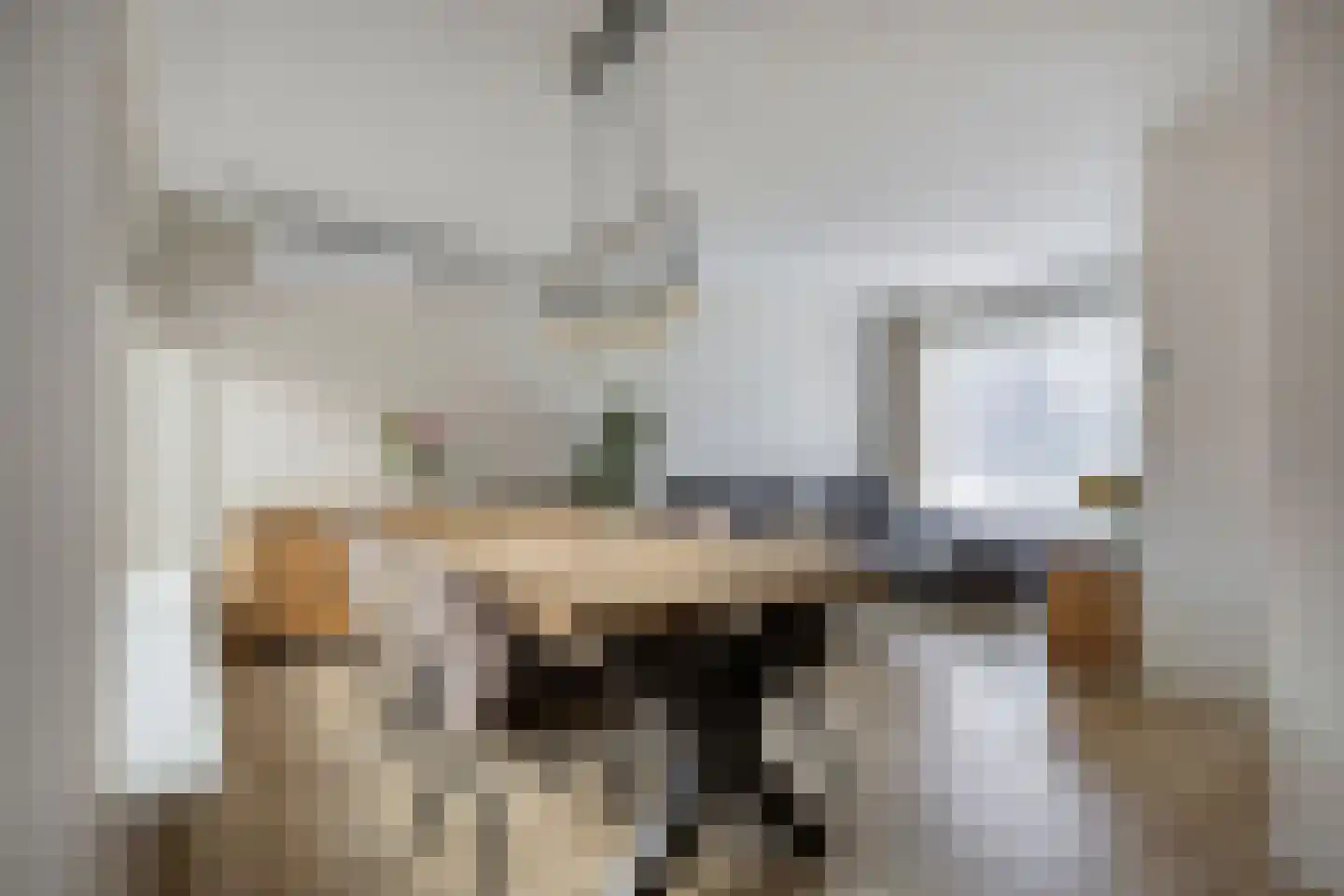 Leliestraat 1 Maarheeze thumbnail 14