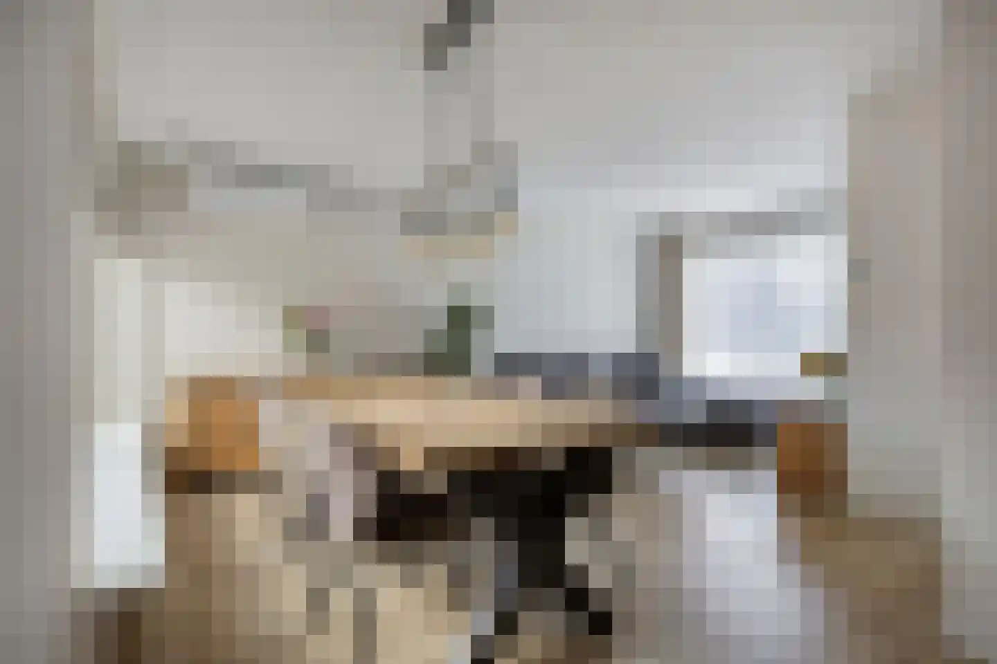 Leliestraat 1 Maarheeze thumbnail 14