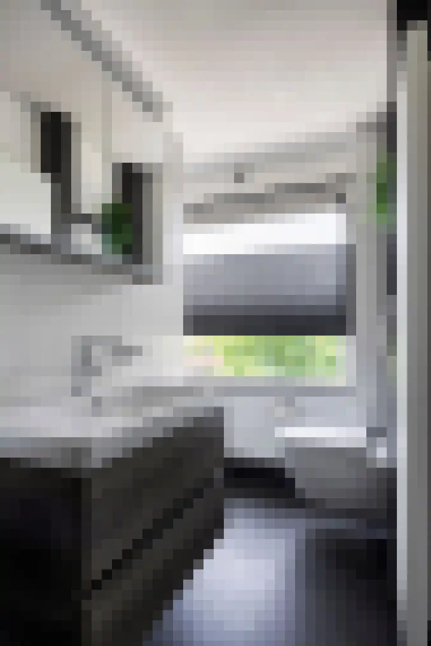 Leliestraat 1 Maarheeze thumbnail 28