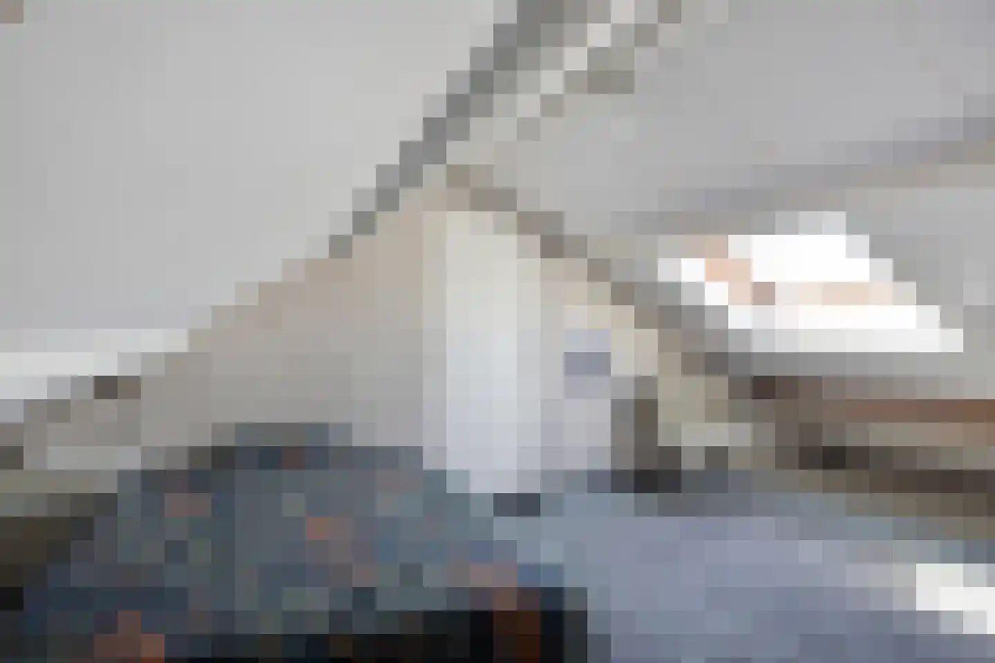 Leliestraat 1 Maarheeze thumbnail 31