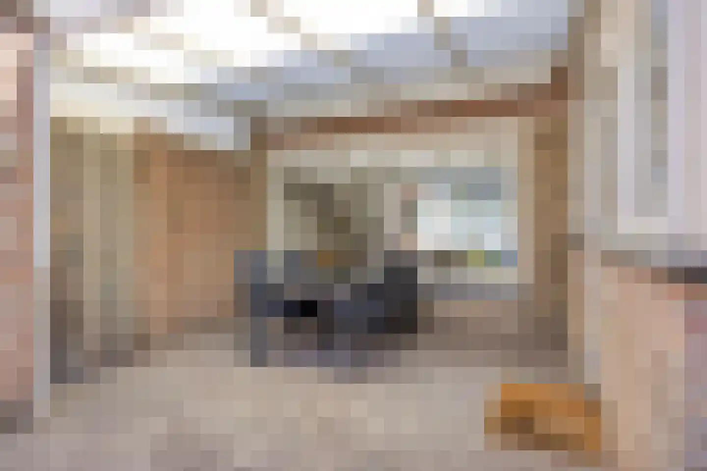 Leliestraat 1 Maarheeze thumbnail 32