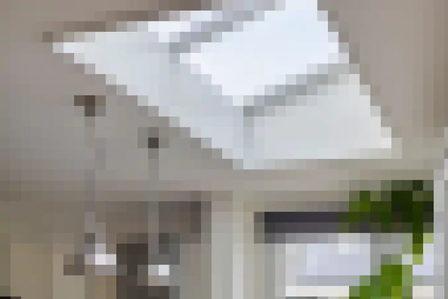 Leliestraat 1 Meppel thumbnail 18