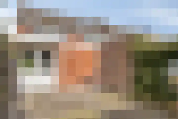 Leliestraat 1 Meppel thumbnail 35