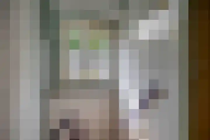 Leliestraat 1 Middelburg thumbnail 22