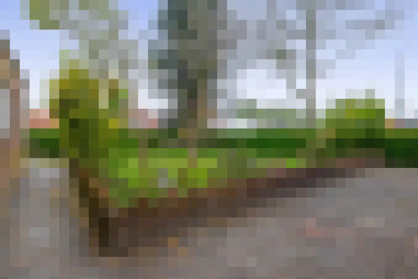 Leliestraat 1 Schijndel thumbnail 23